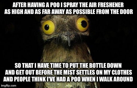 Weird Stuff I Do Potoo Meme | AFTER HAVING A POO I SPRAY THE AIR FRESHENER AS HIGH AND AS FAR AWAY AS POSSIBLE FROM THE DOOR SO THAT I HAVE TIME TO PUT THE BOTTLE DOWN AN | image tagged in memes,weird stuff i do potoo | made w/ Imgflip meme maker