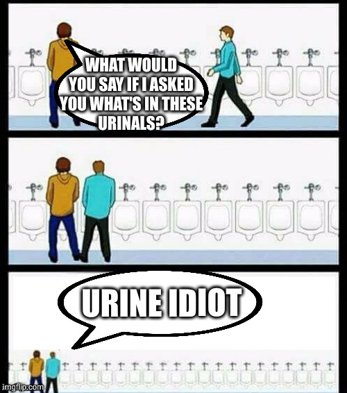 yep | WHAT WOULD
YOU SAY IF I ASKED
YOU WHAT'S IN THESE
URINALS? URINE IDIOT | image tagged in urinal guy more text room | made w/ Imgflip meme maker