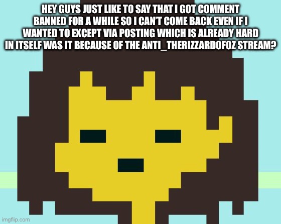 Frisk's face | HEY GUYS JUST LIKE TO SAY THAT I GOT COMMENT BANNED FOR A WHILE SO I CAN’T COME BACK EVEN IF I WANTED TO EXCEPT VIA POSTING WHICH IS ALREADY HARD IN ITSELF WAS IT BECAUSE OF THE ANTI_THERIZZARDOFOZ STREAM? | image tagged in frisk's face | made w/ Imgflip meme maker