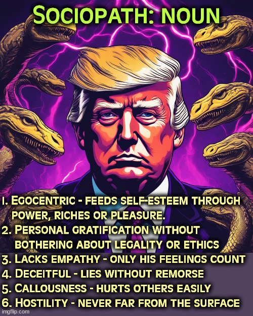 Sociopath: noun; 1. Egocentric - feeds self-esteem through 
   power, riches or pleasure.
2. Personal gratification without 
    bothering about legality or ethics
3. Lacks empathy - only his feelings count
4. Deceitful - lies without remorse
5. Callousness - hurts others easily
6. Hostility - never far from the surface | image tagged in sociopath,psychopath,trump,selfish,empathy,liar | made w/ Imgflip meme maker