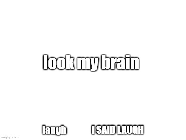 my brain | look my brain; laugh              I SAID LAUGH | image tagged in white background,dumb | made w/ Imgflip meme maker