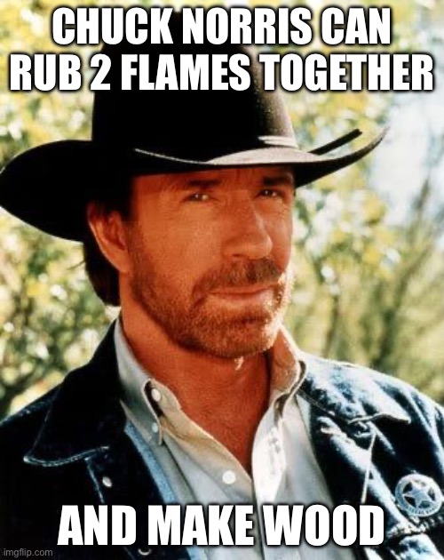 Fire | CHUCK NORRIS CAN RUB 2 FLAMES TOGETHER; AND MAKE WOOD | image tagged in memes,chuck norris,fire,wood,flames | made w/ Imgflip meme maker