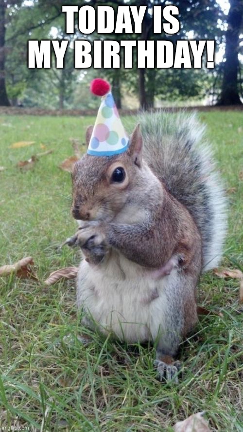 hooray! | TODAY IS MY BIRTHDAY! | image tagged in memes,super birthday squirrel,happy birthday | made w/ Imgflip meme maker