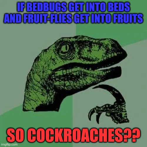 read this at your own risk | IF BEDBUGS GET INTO BEDS AND FRUIT-FLIES GET INTO FRUITS; SO COCKROACHES?? | image tagged in raptor asking questions | made w/ Imgflip meme maker