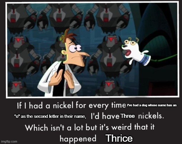 Hmm... | I've had a dog whose name has an; Three; "o" as the second letter in their name, Thrice | image tagged in doof if i had a nickel,dogs | made w/ Imgflip meme maker