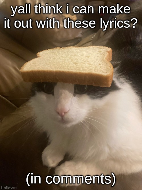 finna make it out | yall think i can make it out with these lyrics? (in comments) | image tagged in bread cat | made w/ Imgflip meme maker