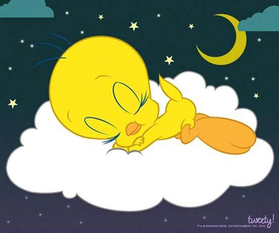 Tuiti durmiendo Blank Meme Template