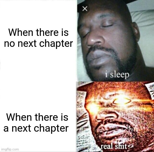 When there is a next chapter | When there is no next chapter; When there is a next chapter | image tagged in memes,sleeping shaq,funny,funny memes | made w/ Imgflip meme maker