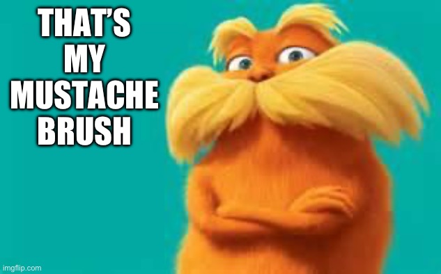lorax | THAT’S MY MUSTACHE BRUSH | image tagged in lorax | made w/ Imgflip meme maker