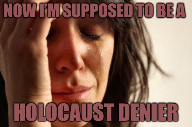 Democrat Holocaust Deniers | NOW I’M SUPPOSED TO BE A; HOLOCAUST DENIER | image tagged in first world problems,political meme,political correctness,bad memes,holocaust,political memes | made w/ Imgflip meme maker