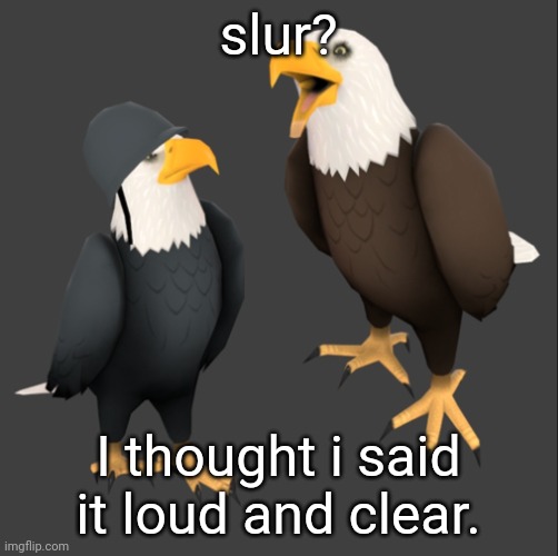 based me | slur? I thought i said it loud and clear. | image tagged in tf2 eagles | made w/ Imgflip meme maker