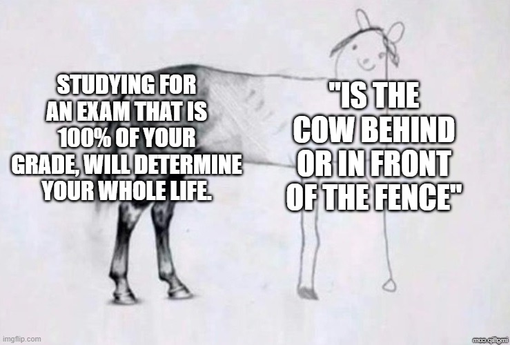 Horse Drawing | STUDYING FOR AN EXAM THAT IS 100% OF YOUR GRADE, WILL DETERMINE YOUR WHOLE LIFE. "IS THE COW BEHIND OR IN FRONT OF THE FENCE" | image tagged in horse drawing | made w/ Imgflip meme maker