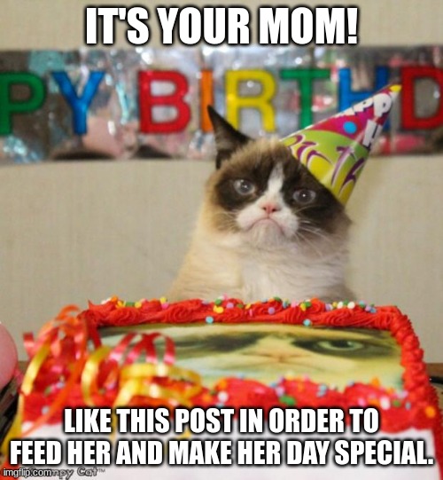 Grumpy Cat Birthday | IT'S YOUR MOM! LIKE THIS POST IN ORDER TO FEED HER AND MAKE HER DAY SPECIAL. | image tagged in memes,grumpy cat | made w/ Imgflip meme maker