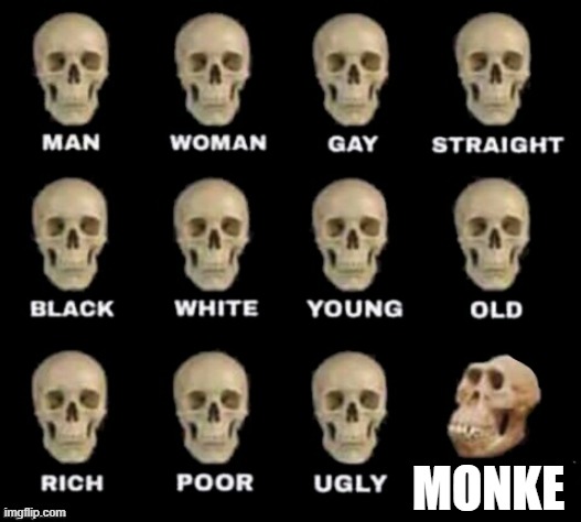 i be spittin fax | MONKE | image tagged in idiot skull,monke | made w/ Imgflip meme maker