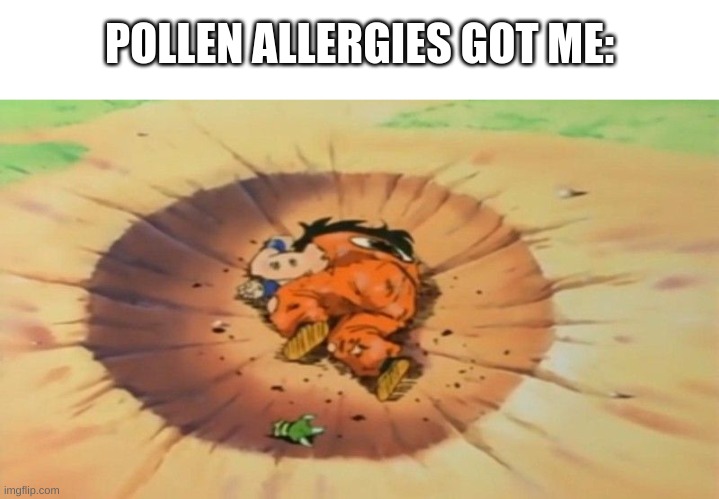like every part of my head and throat itch cuz of them and i need sum weak medicine which does not even help TwT | POLLEN ALLERGIES GOT ME: | image tagged in yamcha dead,i have kids in my basement,sad loife,owo | made w/ Imgflip meme maker