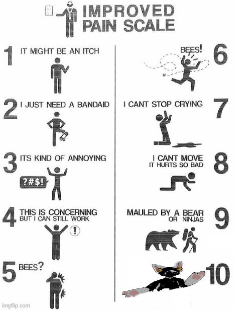 I hate this mf | image tagged in improved pain scale | made w/ Imgflip meme maker
