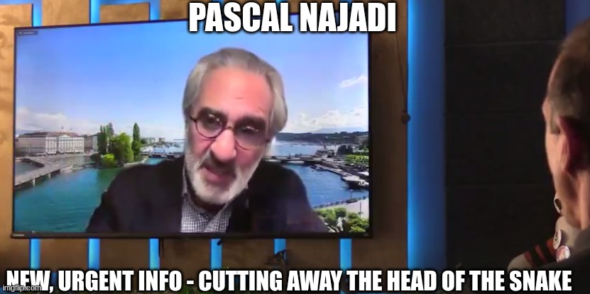 Pascal Najadi: New, Urgent Info - Cutting Away the Head of the Snake  (Video) 