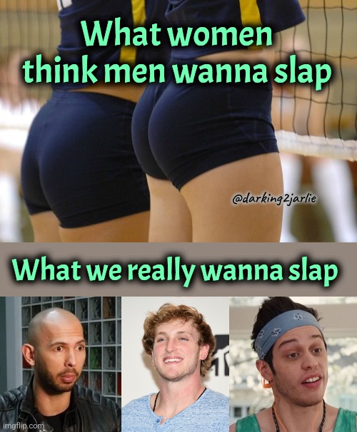 Bitch slap | What women think men wanna slap; @darking2jarlie; What we really wanna slap | image tagged in logan paul,pete davidson,andrew tate,ass | made w/ Imgflip meme maker
