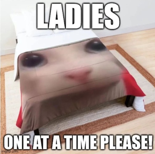 Imgflip