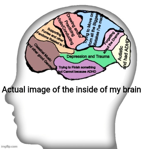 Actual image of the inside of my brain | Trying to Move on from all the Biggest Mistakes I've made; Drawing and/or Practicing Violin/Conducting; Supporting Furries and other Fandoms Related to It; Forgetting about the Drama BS; Classical Music 

(and other good Genres); Autistic and had ADHD; Depression and Trauma; Trying to Finish something but Cannot because ADHD | image tagged in actual image of the inside of my brain | made w/ Imgflip meme maker