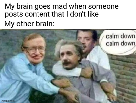 I need some moderation to what I see online | My brain goes mad when someone posts content that I don't like; My other brain: | image tagged in calm down albert einstein,brain | made w/ Imgflip meme maker
