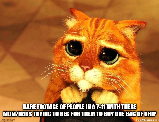 Puss in Boots Shrek cat begging | RARE FOOTAGE OF PEOPLE IN A 7-11 WITH THERE MOM/DADS TRYING TO BEG FOR THEM TO BUY ONE BAG OF CHIP | image tagged in puss in boots shrek cat begging | made w/ Imgflip meme maker
