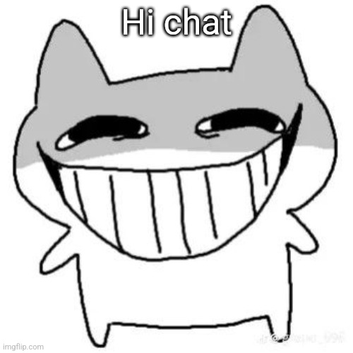 hihi | Hi chat | image tagged in hihi | made w/ Imgflip meme maker