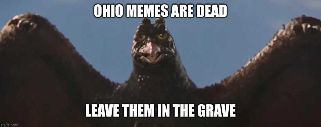 it's too rodamn early for this bullshit | OHIO MEMES ARE DEAD LEAVE THEM IN THE GRAVE | image tagged in it's too rodamn early for this bullshit | made w/ Imgflip meme maker