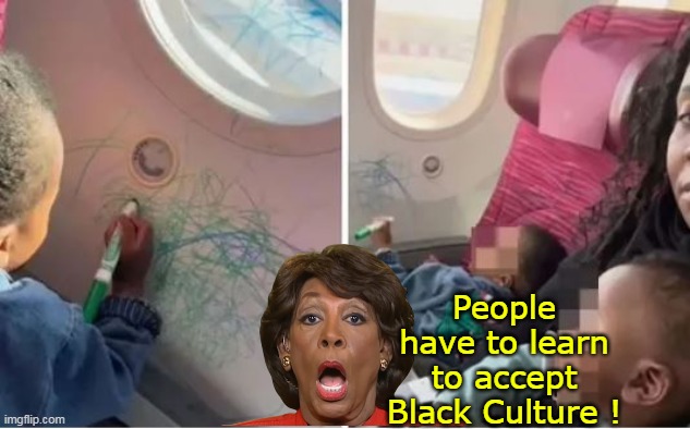 Maxine nails it | People have to learn to accept Black Culture ! | image tagged in black culture image meme | made w/ Imgflip meme maker