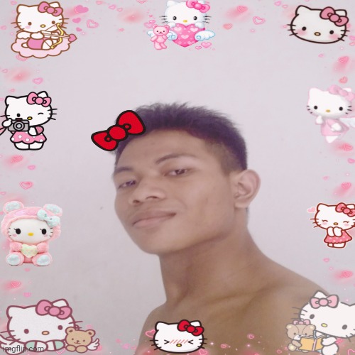 made this a temp cuz i got bored and felt silly | image tagged in akifhaziq hello kitty fr fr | made w/ Imgflip meme maker