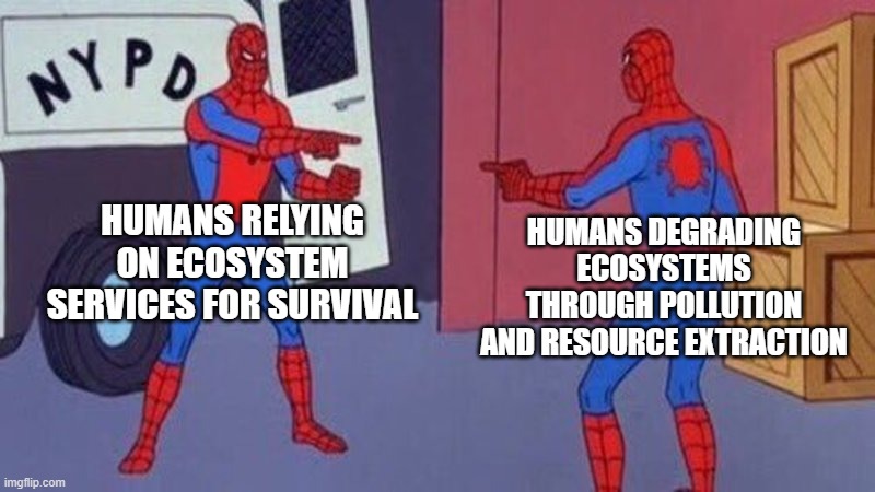 APES Unit 3 Meme | HUMANS RELYING ON ECOSYSTEM SERVICES FOR SURVIVAL; HUMANS DEGRADING ECOSYSTEMS THROUGH POLLUTION AND RESOURCE EXTRACTION | image tagged in spiderman pointing at spiderman | made w/ Imgflip meme maker