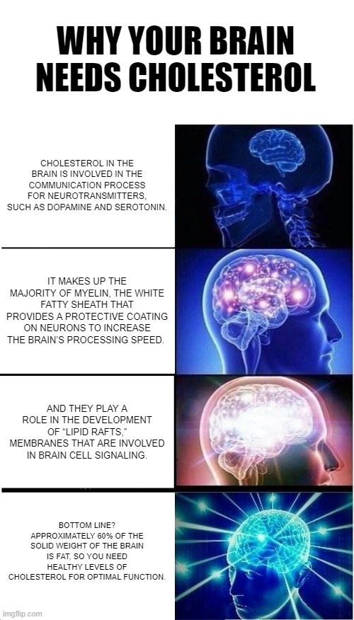 Don't forget the cholesterol | WHY YOUR BRAIN NEEDS CHOLESTEROL; CHOLESTEROL IN THE BRAIN IS INVOLVED IN THE COMMUNICATION PROCESS FOR NEUROTRANSMITTERS, SUCH AS DOPAMINE AND SEROTONIN. IT MAKES UP THE MAJORITY OF MYELIN, THE WHITE FATTY SHEATH THAT PROVIDES A PROTECTIVE COATING ON NEURONS TO INCREASE THE BRAIN’S PROCESSING SPEED. AND THEY PLAY A ROLE IN THE DEVELOPMENT OF “LIPID RAFTS,” MEMBRANES THAT ARE INVOLVED IN BRAIN CELL SIGNALING. BOTTOM LINE? APPROXIMATELY 60% OF THE SOLID WEIGHT OF THE BRAIN IS FAT, SO YOU NEED HEALTHY LEVELS OF CHOLESTEROL FOR OPTIMAL FUNCTION. | image tagged in memes,expanding brain | made w/ Imgflip meme maker