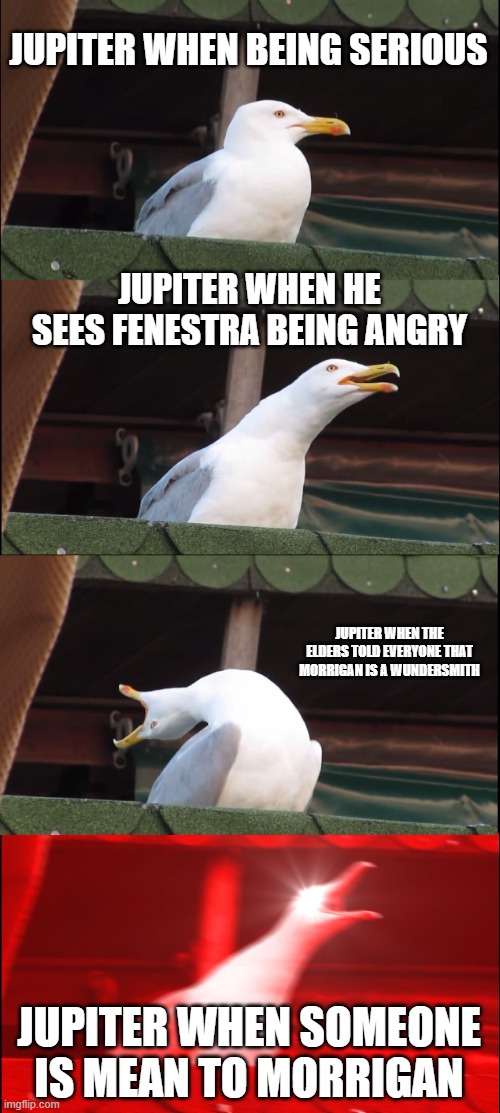 Inhaling Seagull | JUPITER WHEN BEING SERIOUS; JUPITER WHEN HE SEES FENESTRA BEING ANGRY; JUPITER WHEN THE ELDERS TOLD EVERYONE THAT MORRIGAN IS A WUNDERSMITH; JUPITER WHEN SOMEONE IS MEAN TO MORRIGAN | image tagged in memes,inhaling seagull | made w/ Imgflip meme maker