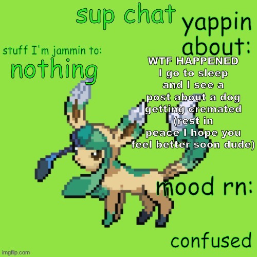 WHAT THE HELL | WTF HAPPENED I go to sleep and I see a post about a dog getting cremated (rest in peace I hope you feel better soon dude); nothing; confused | image tagged in unknown leafeon | made w/ Imgflip meme maker