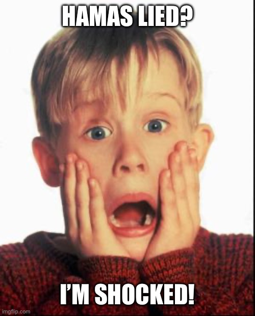 Home Alone Kid  | HAMAS LIED? I’M SHOCKED! | image tagged in home alone kid | made w/ Imgflip meme maker