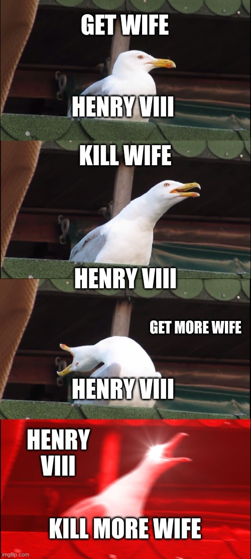 *HENRY VIII LOGIC* | GET WIFE; HENRY VIII; KILL WIFE; HENRY VIII; GET MORE WIFE; HENRY VIII; HENRY VIII; KILL MORE WIFE | image tagged in memes,inhaling seagull | made w/ Imgflip meme maker