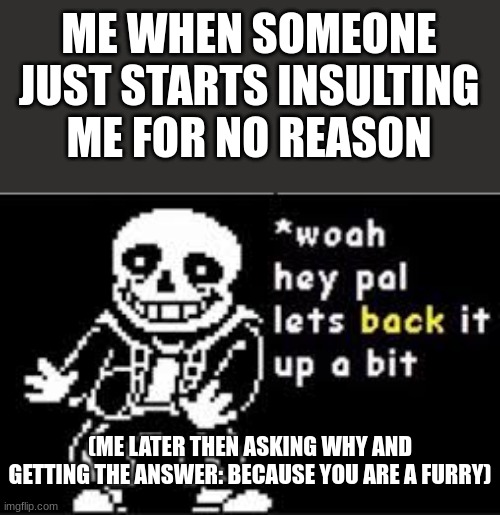 woah hey pal lets back it up a bit | ME WHEN SOMEONE JUST STARTS INSULTING ME FOR NO REASON; (ME LATER THEN ASKING WHY AND GETTING THE ANSWER: BECAUSE YOU ARE A FURRY) | image tagged in woah hey pal lets back it up a bit | made w/ Imgflip meme maker