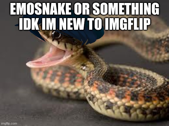 Warning Snake | EMOSNAKE OR SOMETHING IDK IM NEW TO IMGFLIP | image tagged in warning snake | made w/ Imgflip meme maker