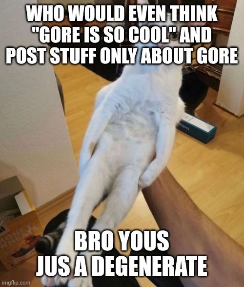 Also to the goreposter, idk if you have power to find me but if you do. come by lets do a "little spar" | WHO WOULD EVEN THINK "GORE IS SO COOL" AND POST STUFF ONLY ABOUT GORE; BRO YOUS JUS A DEGENERATE | image tagged in this car think he a chicken | made w/ Imgflip meme maker
