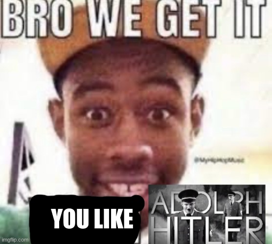 Bro we get it your adolf hitler | YOU LIKE | image tagged in bro we get it your adolf hitler | made w/ Imgflip meme maker