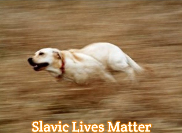 Fast Doggo | Slavic Lives Matter | image tagged in fast doggo,slavic | made w/ Imgflip meme maker