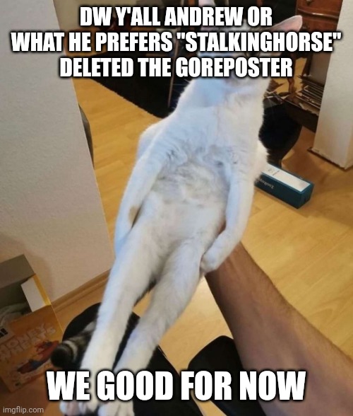 this car think he a chicken | DW Y'ALL ANDREW OR WHAT HE PREFERS "STALKINGHORSE" DELETED THE GOREPOSTER; WE GOOD FOR NOW | image tagged in this car think he a chicken | made w/ Imgflip meme maker