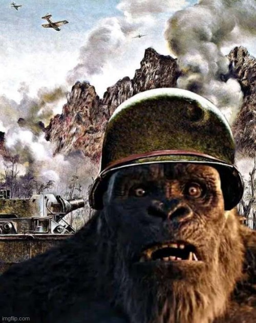 should I draw this | image tagged in kong thousand yard stare | made w/ Imgflip meme maker