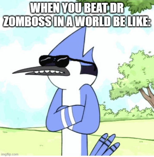 mordecai regular show shades lame | WHEN YOU BEAT DR ZOMBOSS IN A WORLD BE LIKE: | image tagged in mordecai regular show shades lame | made w/ Imgflip meme maker