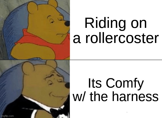 Tuxedo Winnie The Pooh Meme | Riding on a rollercoster; Its Comfy w/ the harness | image tagged in memes,tuxedo winnie the pooh | made w/ Imgflip meme maker