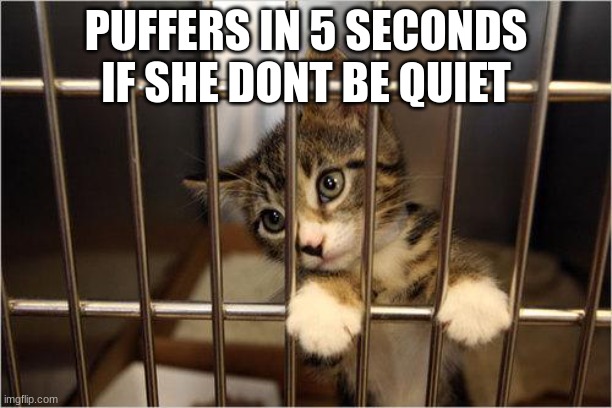 /j | PUFFERS IN 5 SECONDS IF SHE DONT BE QUIET | image tagged in cat jail | made w/ Imgflip meme maker