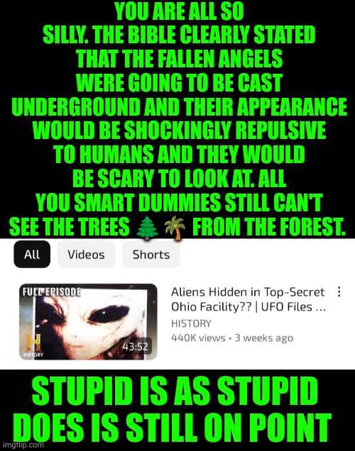 Funny | YOU ARE ALL SO SILLY. THE BIBLE CLEARLY STATED THAT THE FALLEN ANGELS WERE GOING TO BE CAST UNDERGROUND AND THEIR APPEARANCE WOULD BE SHOCKINGLY REPULSIVE TO HUMANS AND THEY WOULD BE SCARY TO LOOK AT. ALL YOU SMART DUMMIES STILL CAN'T SEE THE TREES 🌲🌴 FROM THE FOREST. STUPID IS AS STUPID DOES IS STILL ON POINT | image tagged in funny,aliens,air force,secret,religion,ufo | made w/ Imgflip meme maker