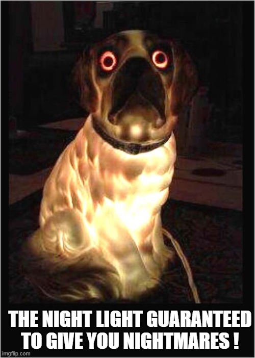 Sweet Dreams Aren't Made Of This ! | THE NIGHT LIGHT GUARANTEED TO GIVE YOU NIGHTMARES ! | image tagged in dogs,night light,nightmare | made w/ Imgflip meme maker