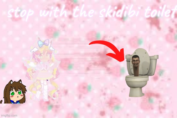 :3 | stop with the skidibi toilet | image tagged in destroy skiddibi toilet,no elsagate,kawaiicore,cutecore | made w/ Imgflip meme maker