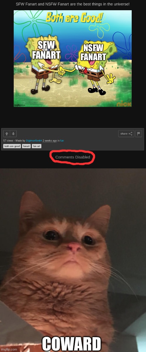 you must answer for your actions. | COWARD | image tagged in cat looking down | made w/ Imgflip meme maker